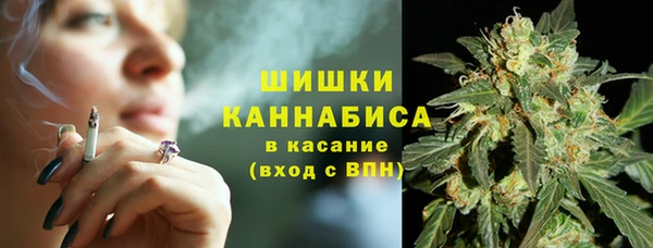 сатива Саяногорск