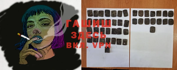 шишки Губаха