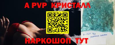 шишки Абакан