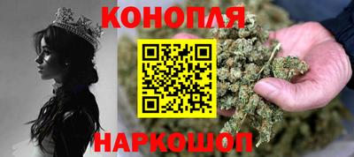шишки Абакан