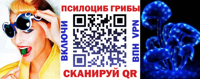 мориарти клад  kraken   Анапа  Псилоцибиновые грибы прущие грибы 