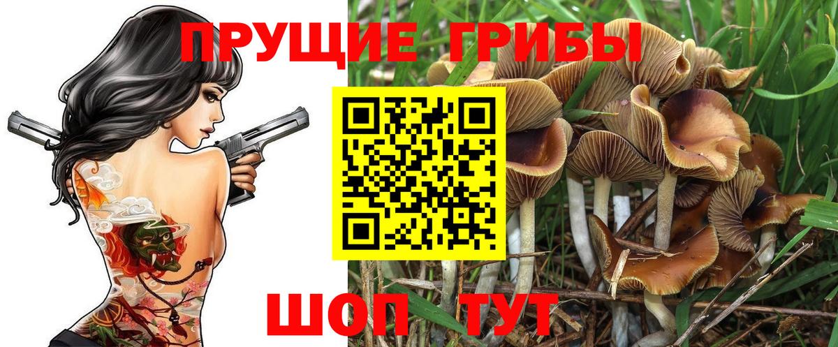 Анапа  Галлюциногенные грибы Cubensis  Вход с VPN 